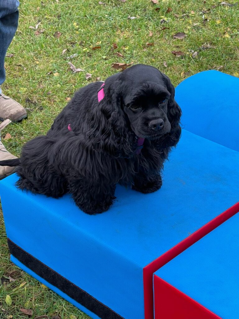 470199596_2087972478317982_7136886596746193246_n